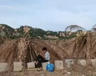 Seluas Ratusan Hektar Kebun Sawit Rusak Diterjang Lumpur dan Kayu Gelondongan di Aceh Tamiang