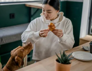 Ini Lima Rekomendasi Pet Friendly Cafe di Jakarta untuk Hangout di Akhir Pekan