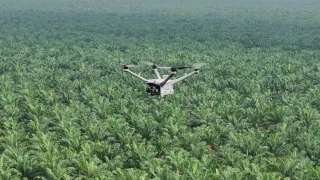 DJI Dock 3 Pantau Keamanan Hutan dan Deteksi Kebakaran Lahan
