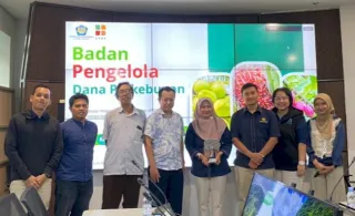 Terima Audiensi SKI, BPDP Perkuat Pengembangan Perkebunan Kelapa