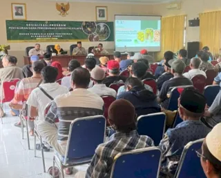 Sektor Hulu Punya Potensi Pengembangan Komoditas Perkebunan Kelapa di Kota Jember