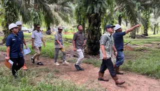 Perkuat Pengawasan Operasional, PTPN IV Regional VII Tingkatkan Produktivitas Kebun