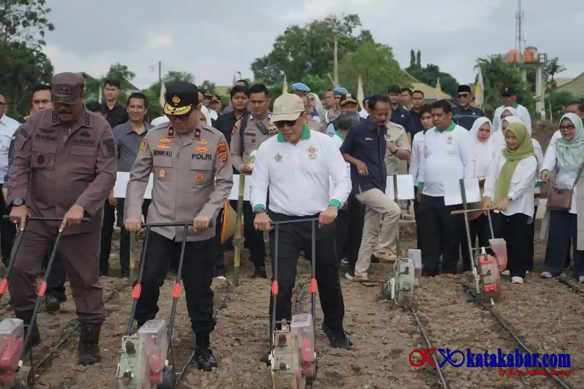 Dukung Ketahanan Pangan, PalmCo Perkuat Kemitraan Petani di Jambi