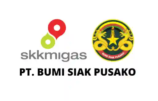 Kandidat Calon Direktur PT Bumi Siak Pusoko (BSP) Mengerucut Jadi Dua, Ini Namanya