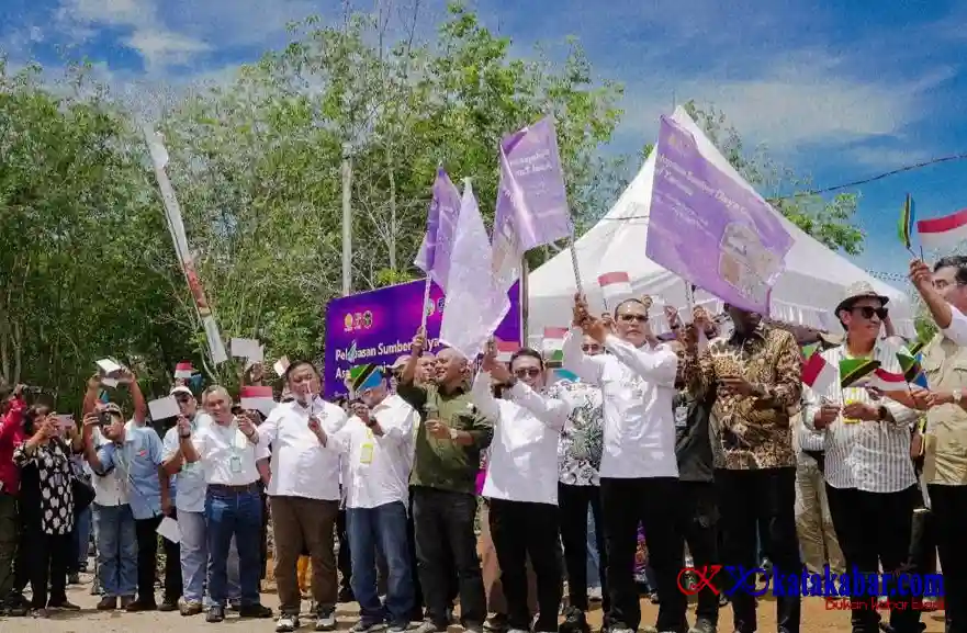 BPDP Perkuat Insustri Sawit Nasional Dukung Pelepasan Bibit Sawit Unggul Asal Tanzania