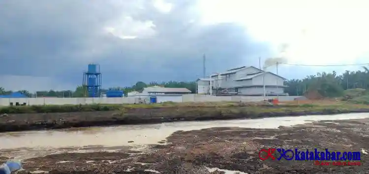 Pecat Humas! PT SSM Terbukti Buang Limbah, Land Aplikasi Bermasalah Tanpa SLO dan Pemerintah Disepelekan