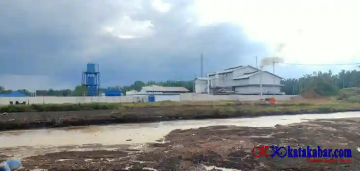 Manajer Lari Dari Tanggung Jawab! PT SSM Cemari Sungai Bawak, DPRD dan DLH Rohul Dituding 'Tidur Pulas'