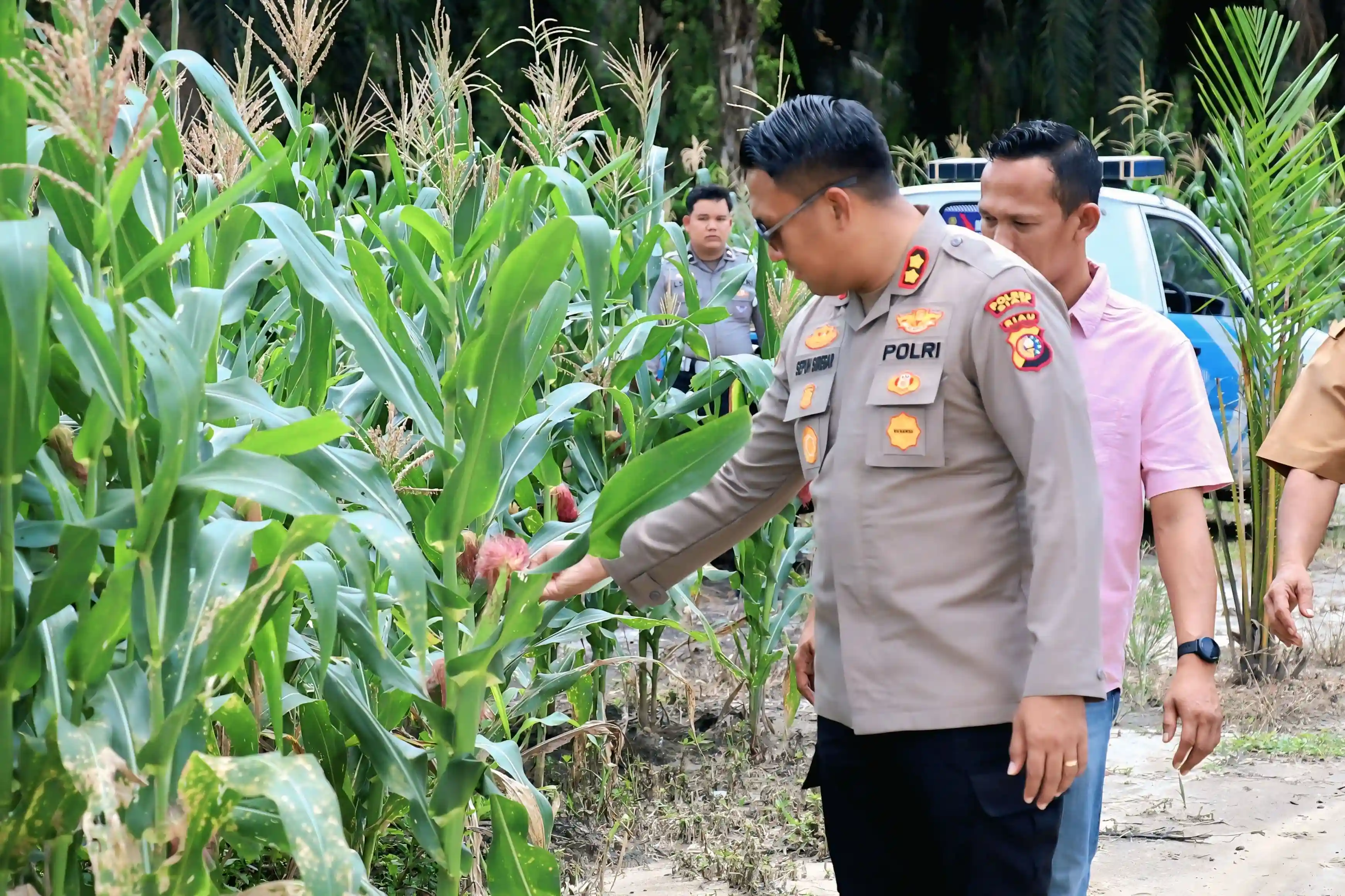 Dukung Penuh Program Prabowo di Siak, AKBP Sepuh Buktikan 'Polisi Cinta Petani' Bukan Sekedar Slogan!