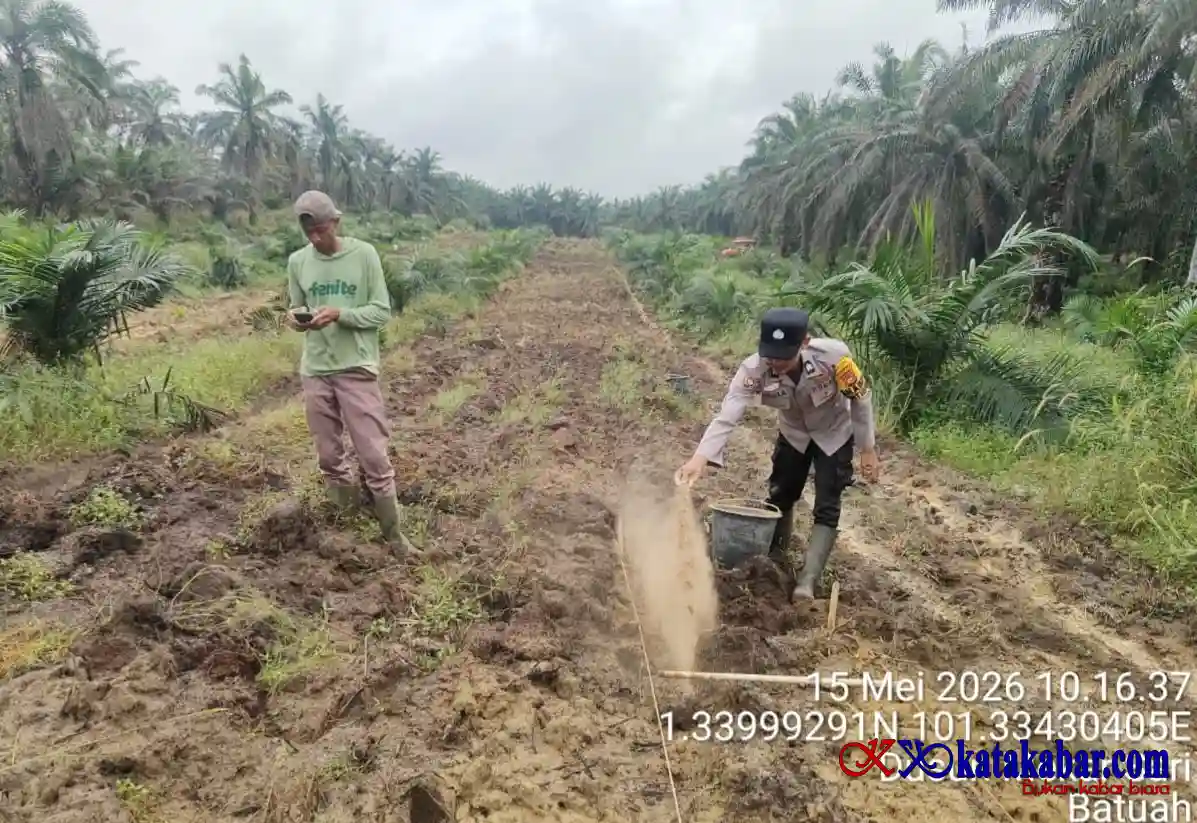 Dorong Masyarakat Manfaatkan Lahan, Polsek Mandau Gencarkan Penanaman Jagung Pipil