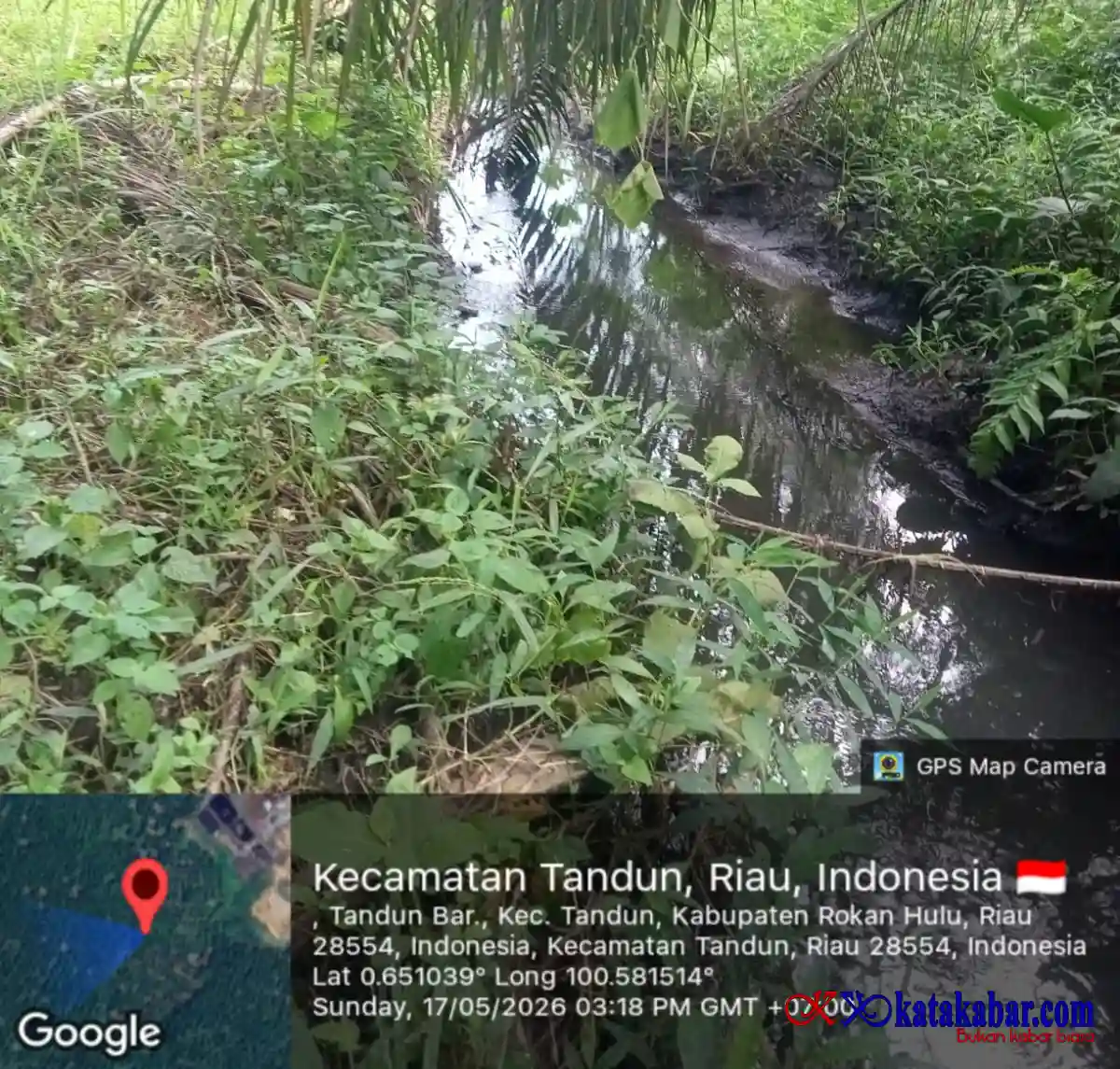 Ngeri! PT HCA Operasi Tanpa Izin, Limbah Hitam Pekat Banjiri Sungai dan Hajar Tanaman Warga