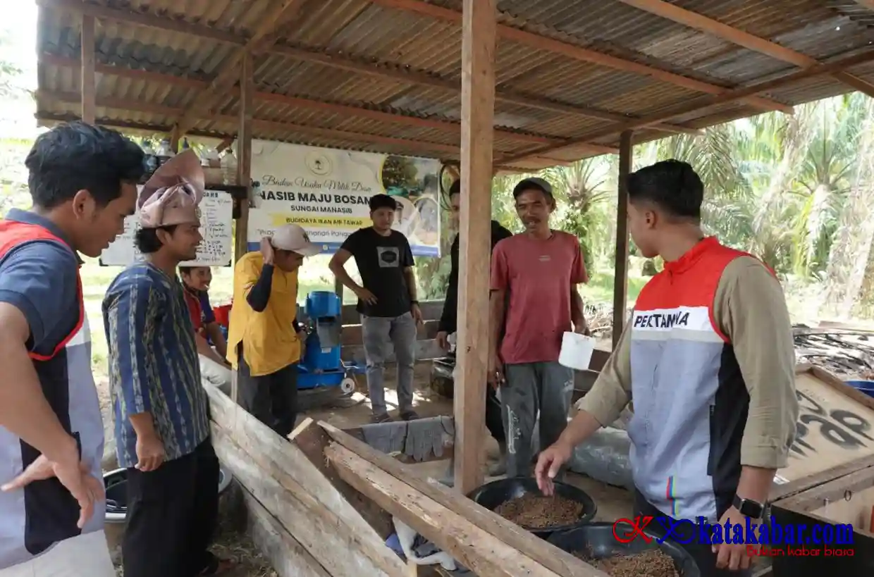 Melongok Lele Sei Manasib di Tangan Rizky: Inovasi Pakan Mandiri Naikkan Omzet Puluhan Juta