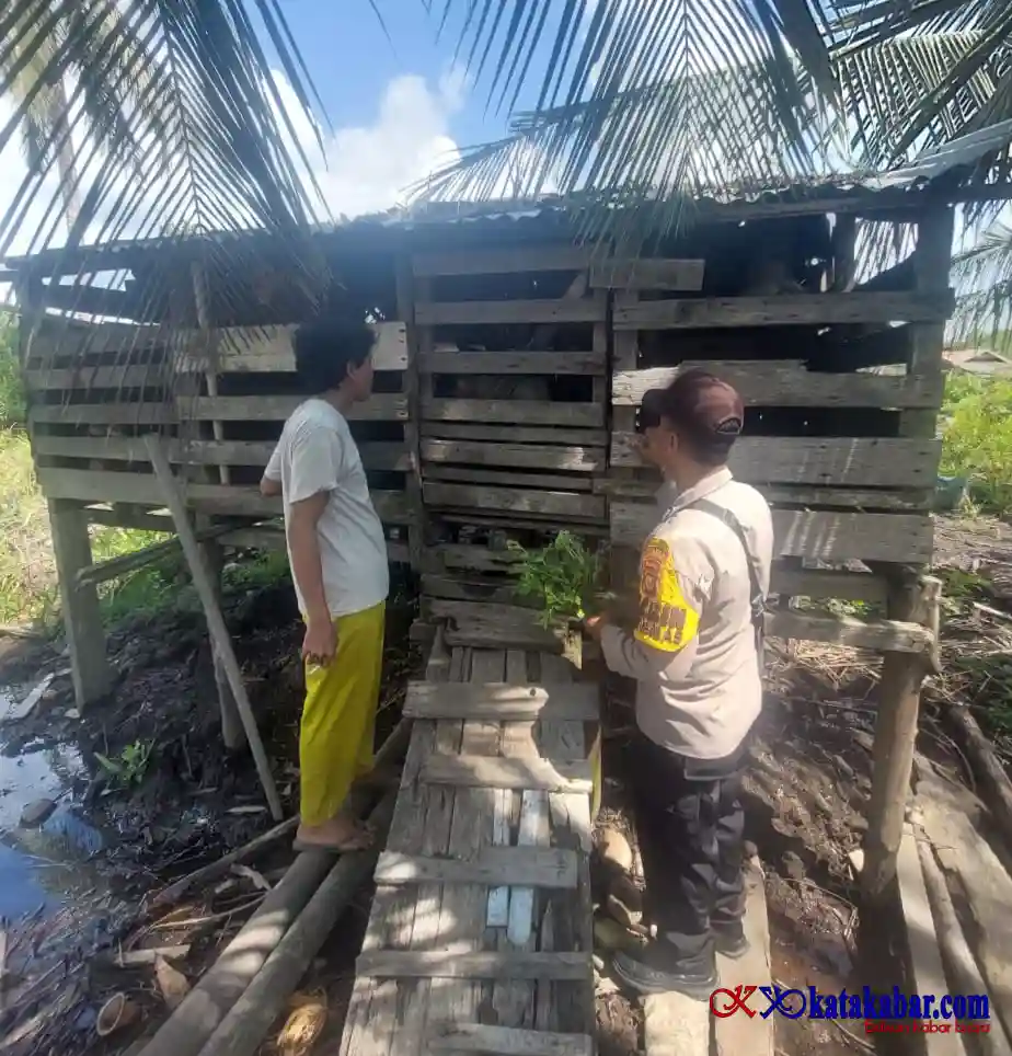 Polsek Merbau Dukung Ketapang Nasional Cek dan Beri Pakan Kambing