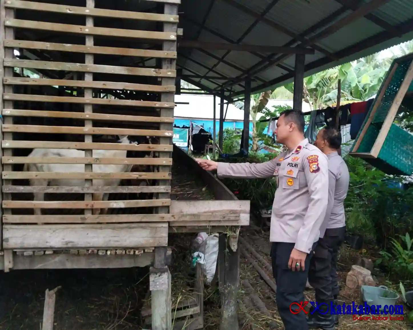 Cegah PMK Untuk Ketapang, Kapolsek KSKP Tembilahan Gercep Edukasi Peternak Kambing