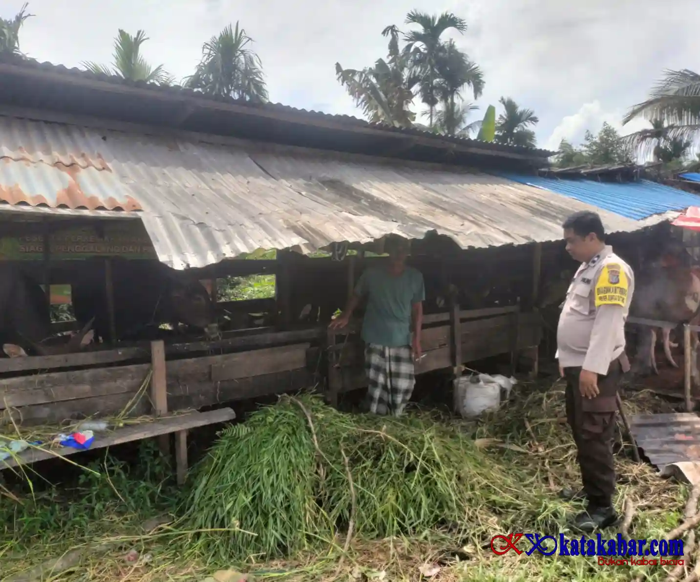 Kolaborasi Polri dan Masyarakat, Polsek Sungai Batang Dukung Peternakan Sapi di Inhil