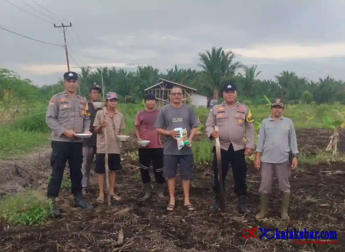 Polsek Rangsang Tanam Jagung Pipil di Penyagun Dorong Ketahanan Pangan Pesisir