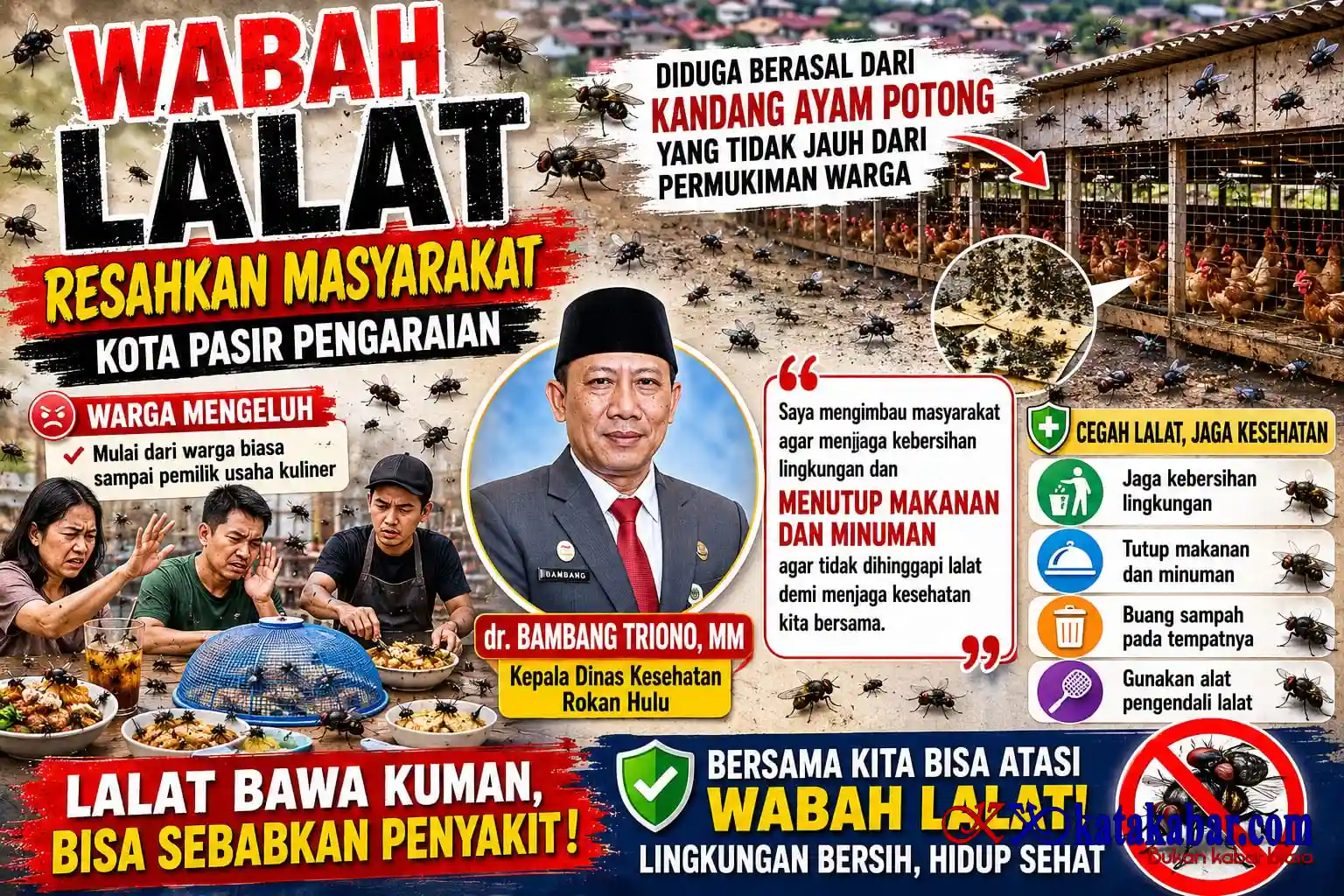 Warga Resah! Wabah Lalat Menggila di Pasir Pengaraian Aktivitas dan Kesehatan Terancam