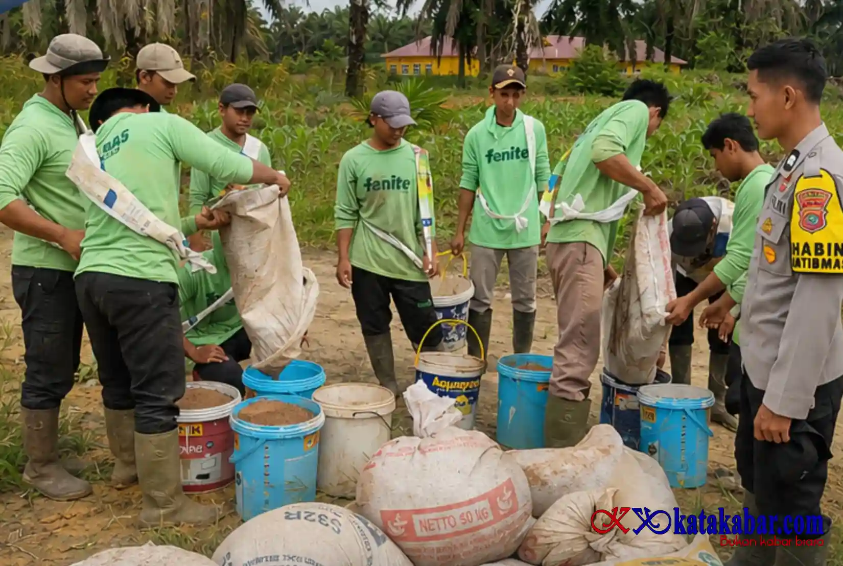Cek Perkembangan Tanaman Jagung Pipil, Ini Asa Polsek Mandau dan Poktan Rakyat Mandiri