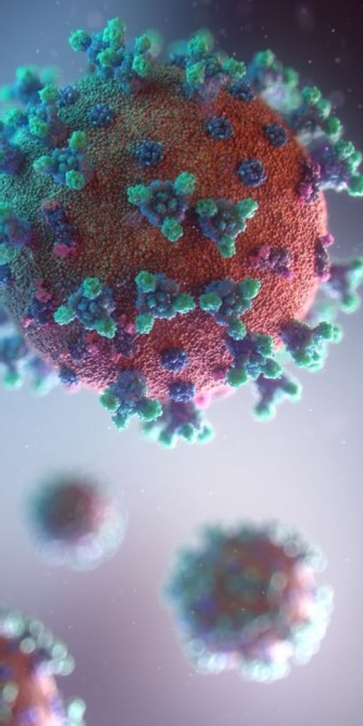 Penelitian: Virus Corona Menginfeksi Usus, Ginjal, dan Organ Lain