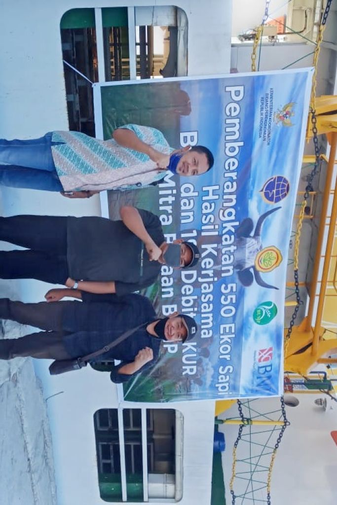Jelang Idul Adha, Sapi dari NTT Otw ke Riau