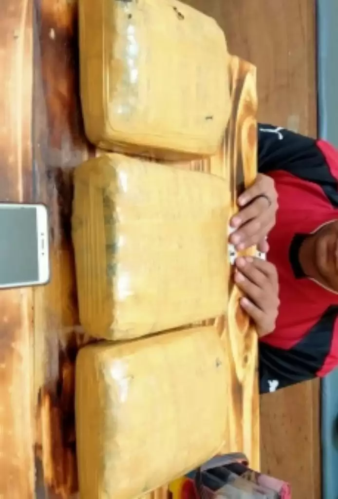 Dua Hari, Polres Pelalawan Ringkus Pengedar Sabu dan Ganja