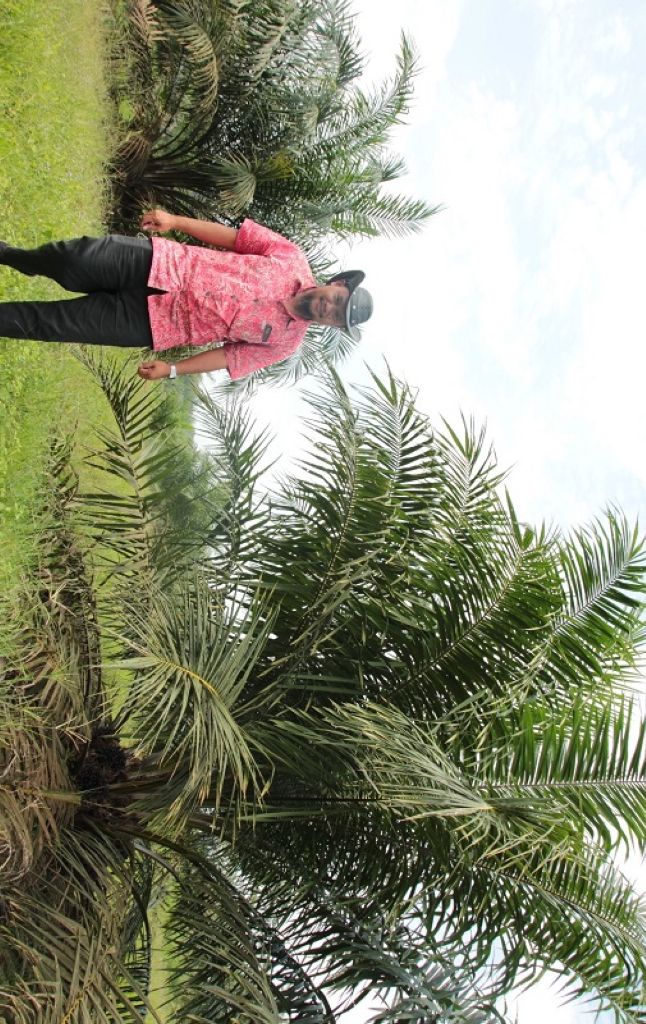 Saat Benih Datangi Negeri 'Nenek Moyang'