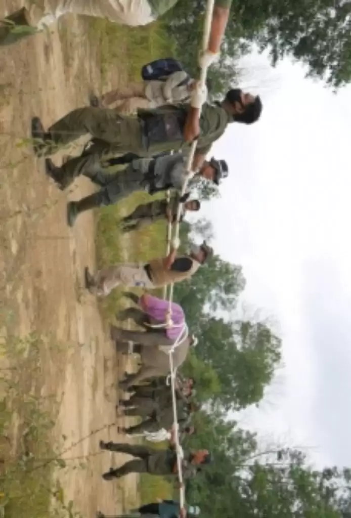 Misi Selamatkan Anak Gajah ke Bentang Alam Bukit Tiga Puluh