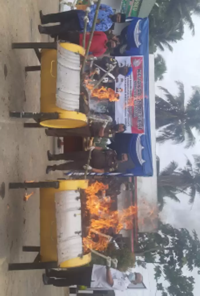 Dibakar, Kejari Madina Musnahkan Barang Bukti Puluhan Kilogram Narkotika Ganja