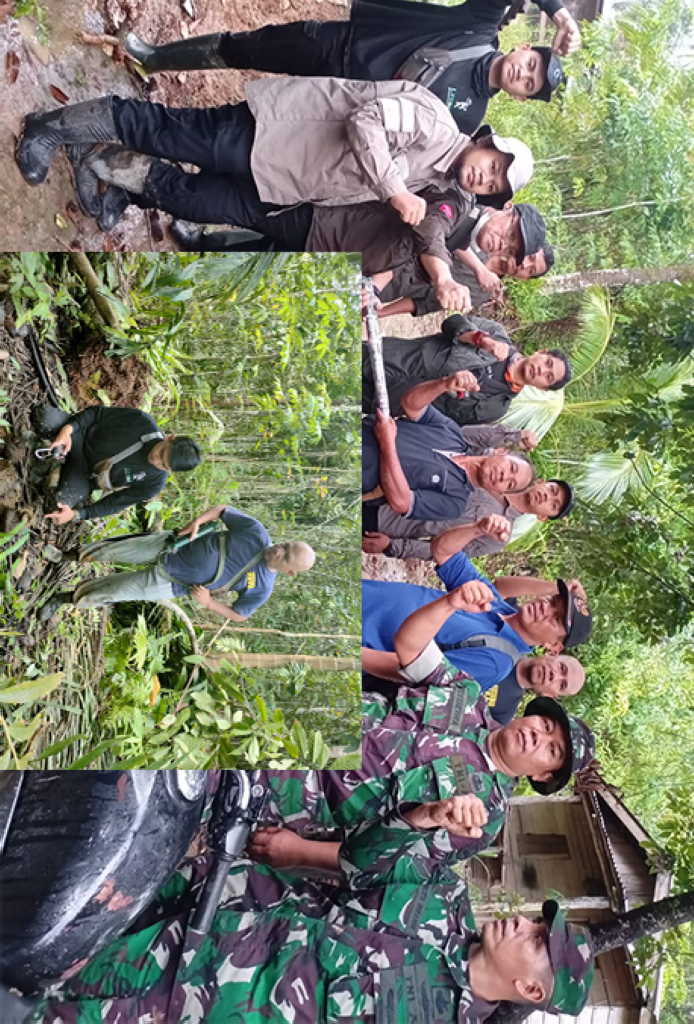 Gajah Liar Hutan TNGL Masuk Perkampungan