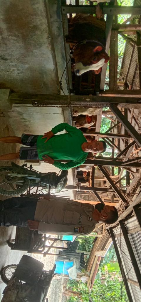 Puluhan Ekor Sapi Terindikasi, Pemko Dirikan Posko Antisipasi Penyebaran PMK