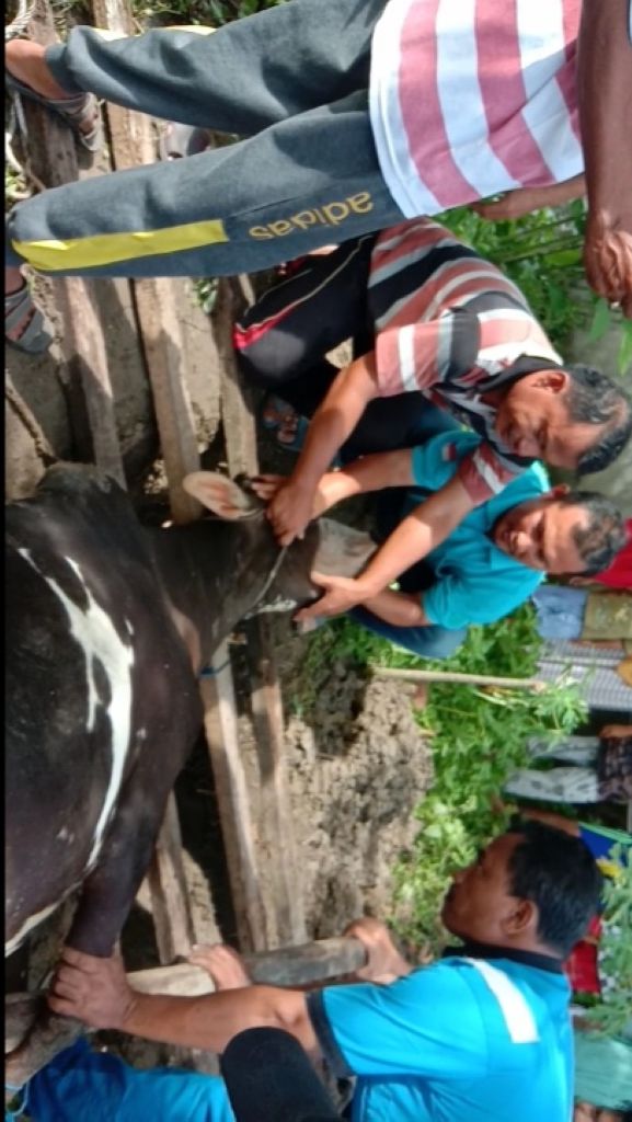 PRM Tangkahan Bagikan Daging Kurban Kepada Anggota dan Masyarakat