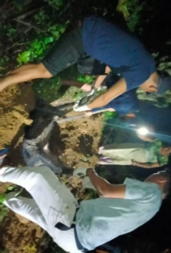 Hendak Dievakuasi, Kambing Hutan Sumatera Mati