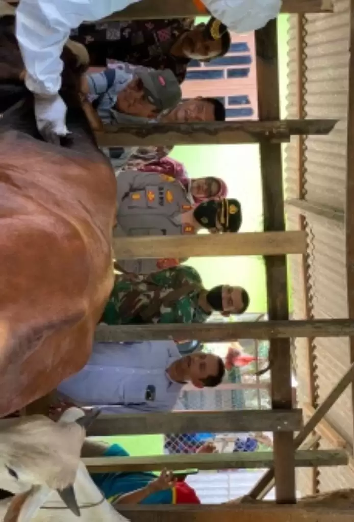Antisipasi PMK, Hewan di Langkat Mulai Vaksin
