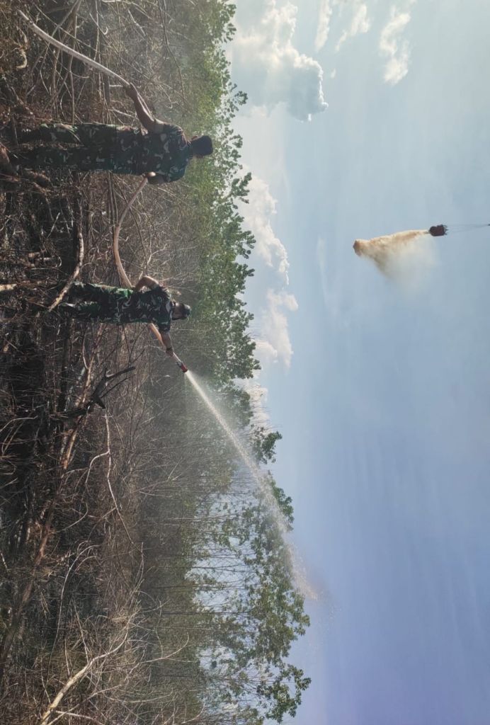 Lahan Kosong Terbakar, Dandim 1016 Palangkaraya Berjibaku Padamkan Api