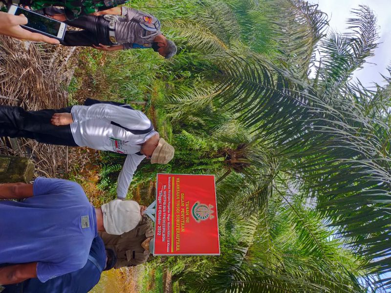 Kejatisu Sita Kebun Sawit-Nya  Mafia Tanah Langkat