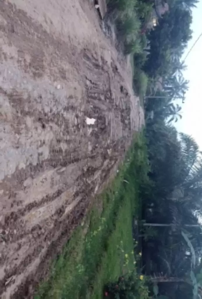 Dikeluhkan Masyarakat, LIPPSU Kaget Lihat Fakta Jalan Mirip Kubangan