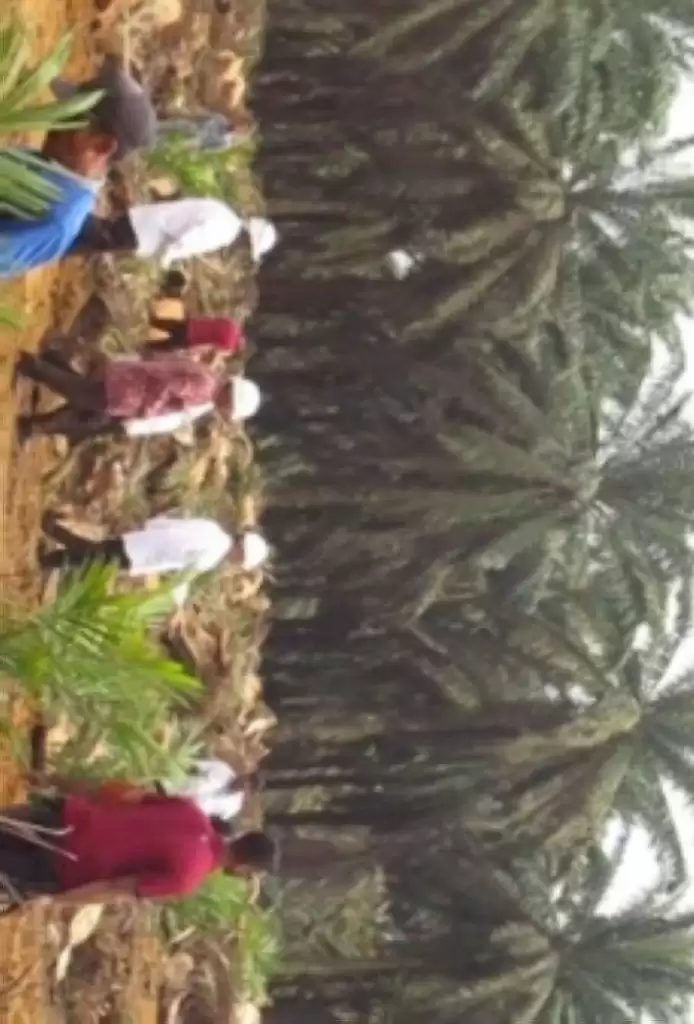 Total 100 Lebih Anak Petani Sumbar Lulus Administrasi Program Beasiswa BPDPKS