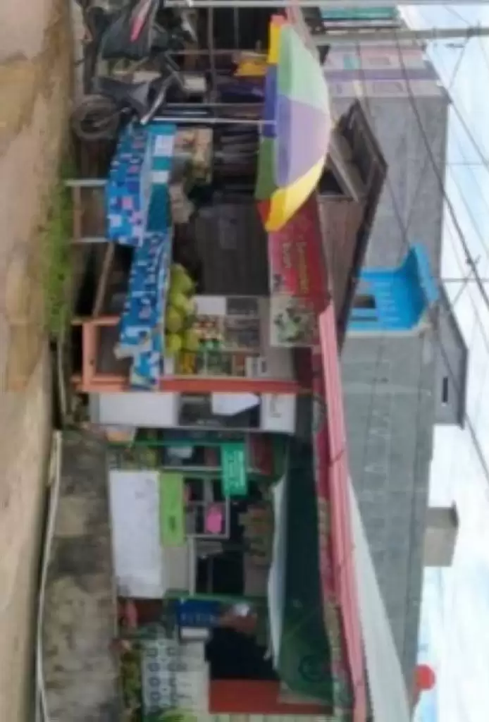 Harga TBS Kelapa Sawit Merosot Berdampak Pada Omzet Pedagang