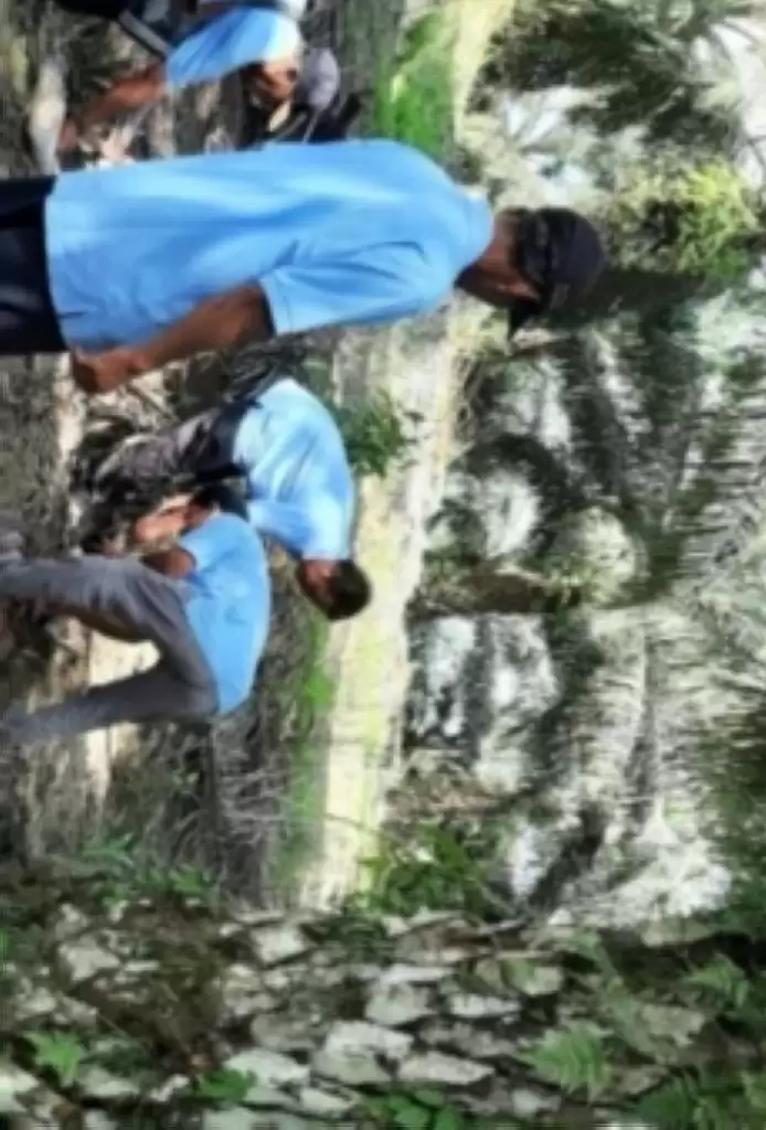 Petani Sawit Dilatih Perbanyak Agens Hayati di Kaltim Kendalikan Hama