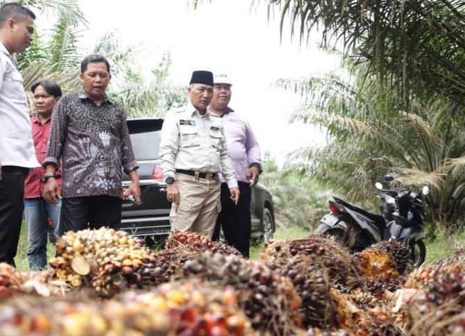 Harkopnas 2023, Asa Bisa Hadir Pabrik Minyak Makan Merah di Muba