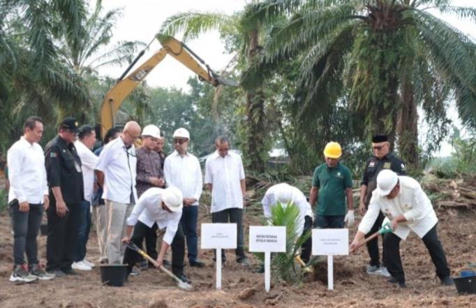 Tumpang Sari di Kebun PSR, Bupati Sergai: Ini Role Model 'Tanah Bertuah Negeri Beradat'