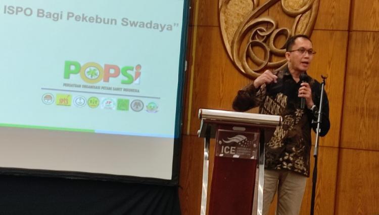 Tantangan Jadi Hambatan Petani Peroleh STDB dan ISPO