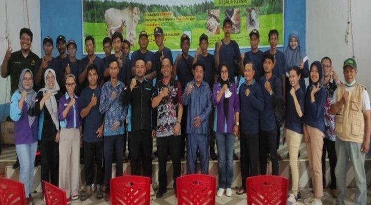 Peternak Belajar Manfaatkan Pelepah Sawit Jadi Pakan Sapi di Sanggau