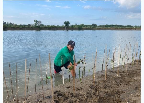 5Trive For Impact Rayakan Ultah ke 5 Cause ID Menanam 901 Mangrove di Kendal