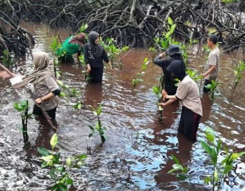 Peran dan Kontribusi Lindungi Hutan Untuk Capai SDGs