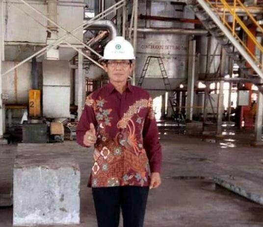 ISPO Beri Manfaat Bagi Kelapa Sawit dan Untungkan Petani