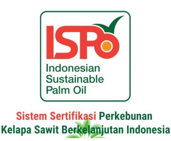 Bengkalis Tak Masuk, Ini 24 Kelembagaan Pekebun Sawit Sudah Kantongi ISPO di Riau