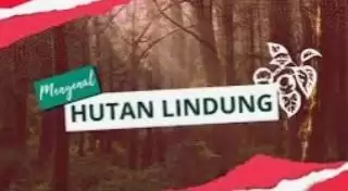 Enviro Strategic Indonesia Taja Webinar Green Leadership Bangun Bisnis Keberlanjutan di Indonesia