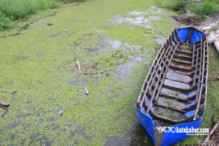 Cerita Burung Hantu dan Kanal Tua itu