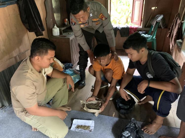 Aksi Heroik Kapolsek Kelayang Ringkus Bandar Ganja