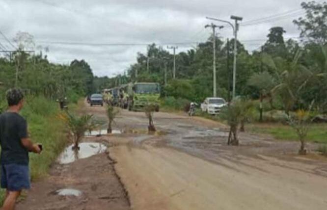 Warga Sekolaq Darat Stop Truk CPO dan Tanam Sawit di Jalan Rusak Picu Perusahaan Cuek
